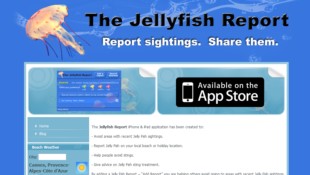 Jellyfish Reports App